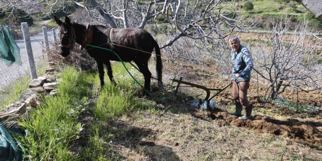 Köyün en genci 50 yaşında: Genç nüfus kalmaması en büyük sorunları 4
